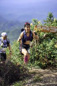 BIB: 
                            <button type="button" onclick="openModal(24768839)" class="btn btn-primary btn-sm float-right btn-popup" data-toggle="modal" data-target=".modal-high-quality">
                        <i class="fas fa-shopping-cart"></i> Add to Cart
                    </button>
                                            <button type="button" onclick="isThisMe(24768839, true)" class="btn btn-success btn-sm float-right btn-popup btn-isme hidden" data-toggle="tooltip" data-placement="bottom" title="นี่คือรูปของคุณใช่ไหม คลิกที่นี่เพื่อเอาเข้าอัลบั้ม">
                        <i class="fas fa-plus"></i> Add to album
                    </button>
                    <button type="button" onclick="isThisMe(24768839, false)" class="btn btn-warning btn-sm float-right btn-popup btn-isnotme hidden">
                        <i class="fas fa-ban"></i> Remove from album
                    </button>